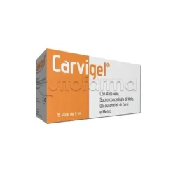 Carvigel Integratore per benessere intestinale 15 Oral Stick