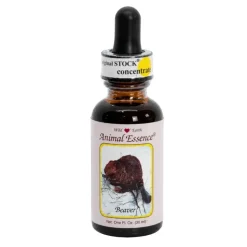 Castoro Beaver Ess 30ml