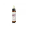 Cemon Elm Fiore di Bach per Fiducia 10ml