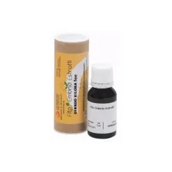 Cemon Ginkgo Biloba Fee Fito Embrio Estratti Gocce 15ml