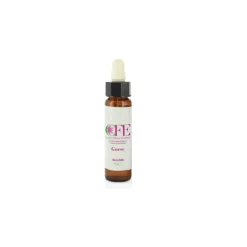 Cemon Gorse Fiore di Bach per Incoraggiamento 10ml