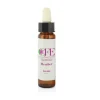 Cemon Heather Fiore di Bach per Comunicazione 10ml