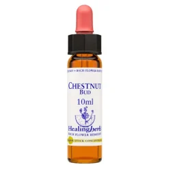 Chestnut Bud Essenza 30ml