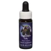 Chocolate Lily Ess 7,4ml