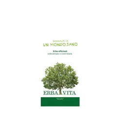 Coda Cavallina Equiseto Taglio Tisana 1 kg