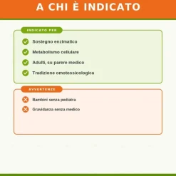 Coenzyme Compositum Heel Guna 10 Fiale Medicinale Omeopatico 2,2ml