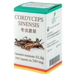 Cordyceps 100 Capsule per Energia, Vitalità e Difese Immunitarie 100 Capsule