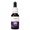 Correa Essenza Australiana Living Essences 15ml