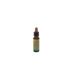 Di Leo Chicory Fiori Di Bach 8 per Umore e Stress 10ml