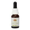 Dog Rose Essenza 15ml