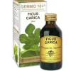 Dr. Giorgini Gemmo 10+ Fico Integratore per Pelle 100ml