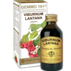 Dr.Giorgini Viburno Gemmo 10+ Integratore per Vie Respiratorie 100ml
