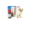 Echinacea 59 per Sistema Immunitario 50ml