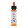 Elm Essenza 10ml