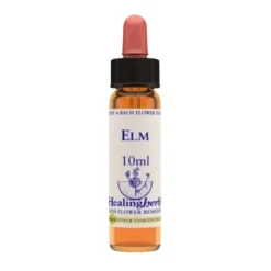Elm Essenza 10ml