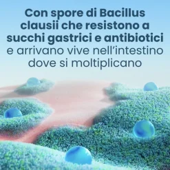 Enterogermina 4 Miliardi di Spore Attive Fermenti Lattici 20 Flaconcini 5ml