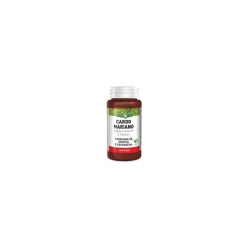 Erba Vita Cardo Mariano Integratore Epatico 400 Mg 60 Capsule