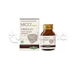 Erba Vita Mico Integra Hericium Integratore Alimentare GastroIntestinale 60 Capsule