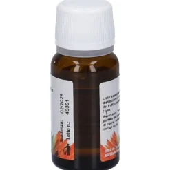 Erbex Anice Stellato Olio Essenziale Digestivo 10 ml