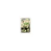 Finocchio per Digestione 100 Capsule 380mg