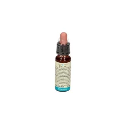 Fiori di Bach 4 Centaury Di Leo 10 ml