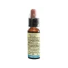 Fiori di Bach 36 Wild Oat Di Leo 10 ml