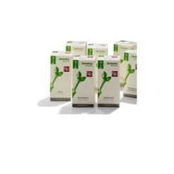 Fitomedical Faggio Integratore Drenante per Reni e drenaggio 200ml
