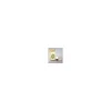 Flora Camomilla Romana Olio Essenziale Demeter 1 ml Anthemis Nobilis