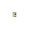 Flora Cipresso Olio Essenziale Bio 5 ml Cupressus Sempervirens