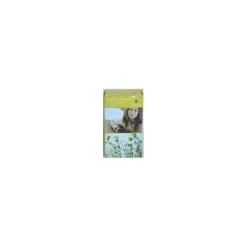 Flora Infuso Camomilla 20 Filtri Bio Fiori Matricaria Chamomilla