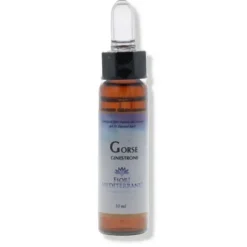 Forza Vitale Fiori Mediterranei Gorse per Benessere Emotivo 10 ml