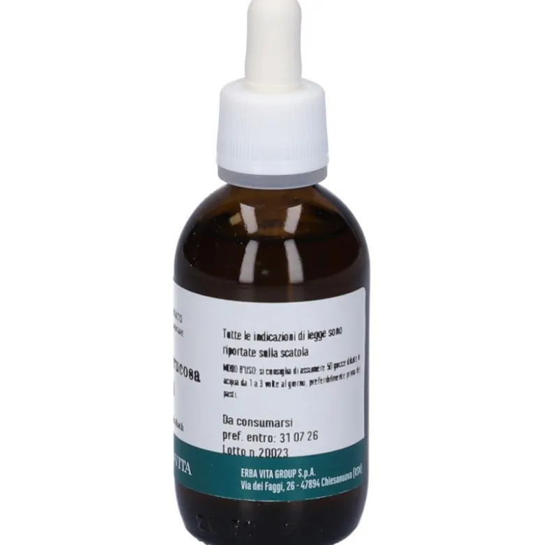 Gemmoderivato Betulla Semi per Depurazione 50ml