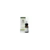Ginepro Olio Essenziale per Iperuricemia e Dispepsia 10 ml