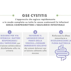 GSE Cystitis Integratore Vie Urinarie e Cistite 60 Compresse