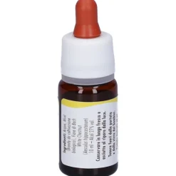 Guna White Chestnut Fiori di Bach Gocce per Pensieri Ossessivi 10ml