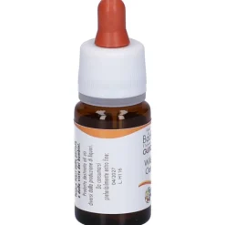 Guna Wild Oat Fiori di Bach Gocce per Trovare la Propria Strada 10ml