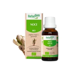 Herbalgem Noce Gemmoderivato Macerato Biologico 15 ml