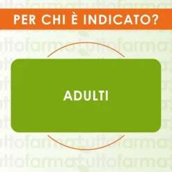 Ibsa Ferro e Acido Folico Integratore Sublinguale 20 Film Orodispersibili