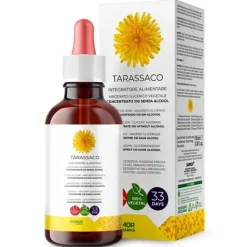 Jarmor Tarassaco Integratore Macerato Glicerico Concentrato 1:10 Gocce 100ml