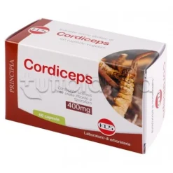 Kos Cordiceps Estratto Secco Integratore Ricostituente 60 Capsule