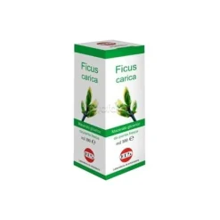 Kos Ficus Carica Macerato Glicerico Gocce 100ml