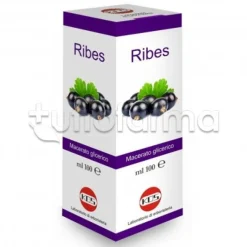 Kos Ribes Nigrum Macerato Glicerico per Naso e Gola 100ml