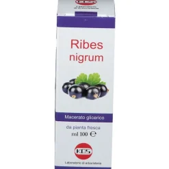 Kos Ribes Nigrum Macerato Glicerico per Naso e Gola 100ml