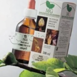 Laboratorio Sangalli Ginepro Macerato Glicerico Drenante Epatico 100ml