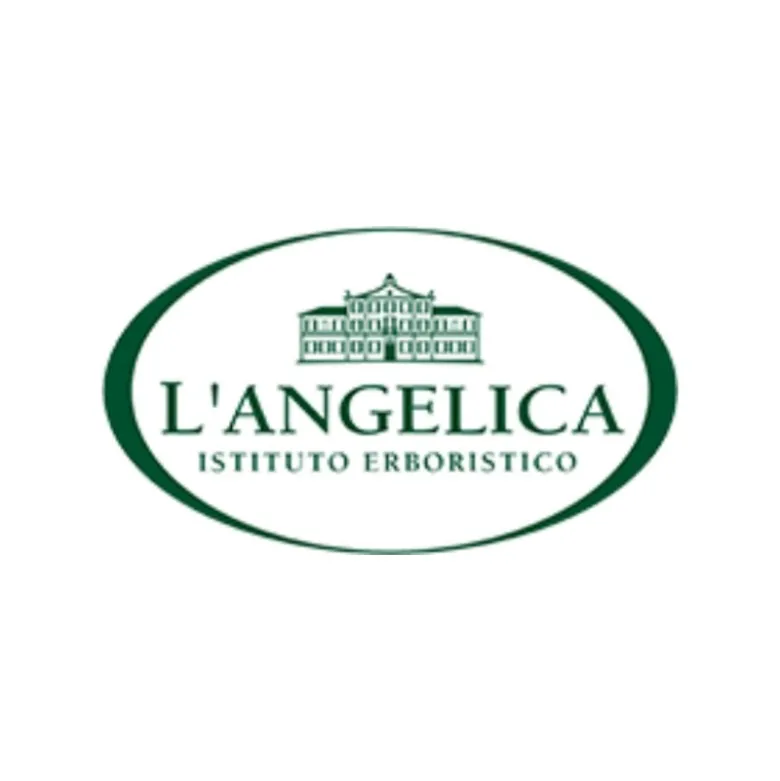 L'Angelica Whaterstick Plus Menta e Lime 12 Stick da 2 g