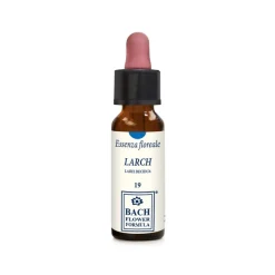 Larch Original Gocce per Fiducia 10ml