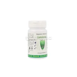 Lattoferrina Vitamina D3 Natural Farm Integratore Immunitario 30 Capsule