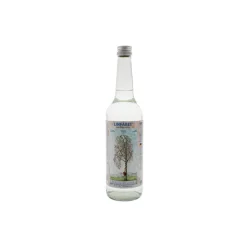 Linfabet Linfa Betulla Bio per Drenaggio 700ml