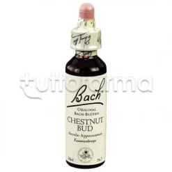 Loacker Bach Chestnut Bud Fiori Di Bach per Imparare dai Propri Errori Gocce Orali 20 ml