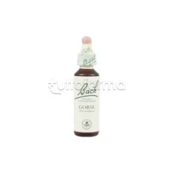 Loacker Bach Gorse Fiori Di Bach Contro Pessimismo Gocce Orali 20 ml